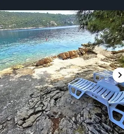 Alpha Apartment
